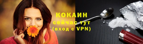 мяу мяу мука Белокуриха