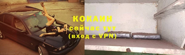 мяу мяу мука Белокуриха
