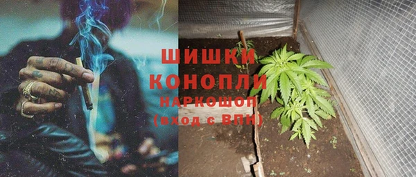 мяу мяу мука Белокуриха