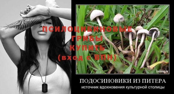 мяу мяу мука Белокуриха