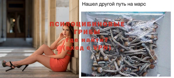 apvp Беломорск