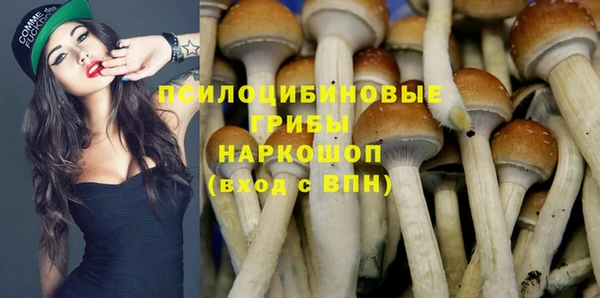 мяу мяу мука Белокуриха